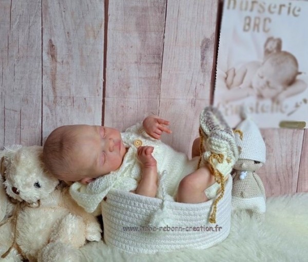 bebe-reborn-creation.fr  (2)